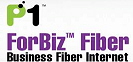 P1Fibre(2)